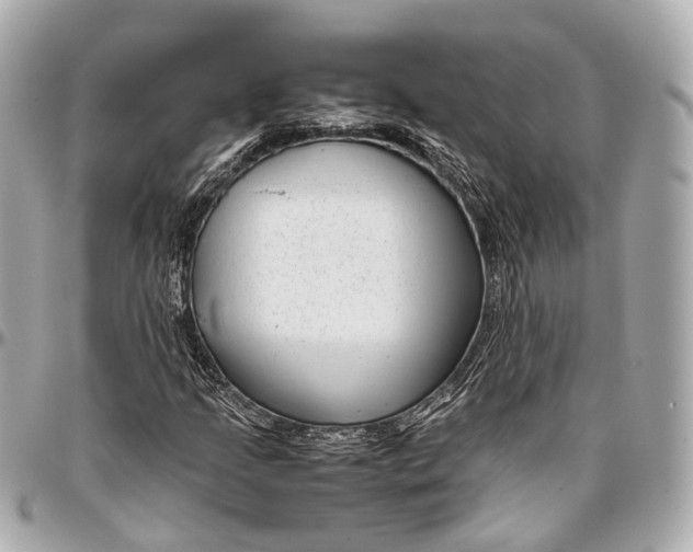 X0000097001205200802221513