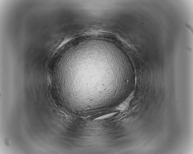 X0000097001206200802221513