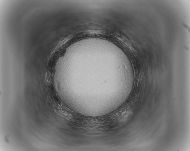 X0000097001207200802221513