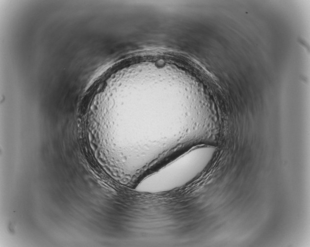 X0000097001208200802221513