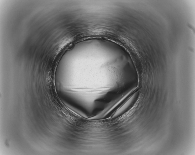 X0000097001210200802221513