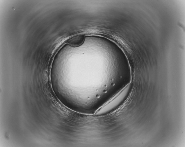 X0000097001212200802221513