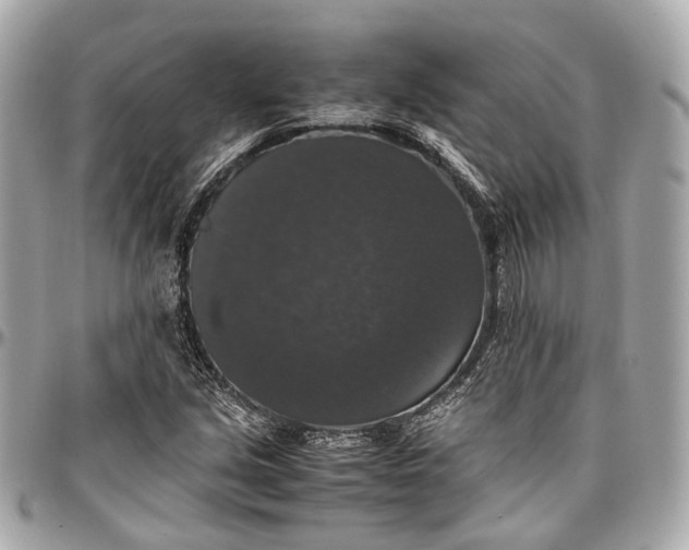 X0000097001213200802221513