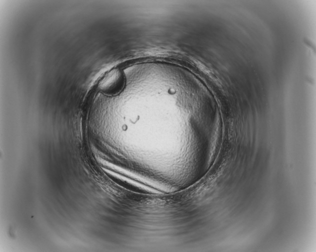 X0000097001214200802221513