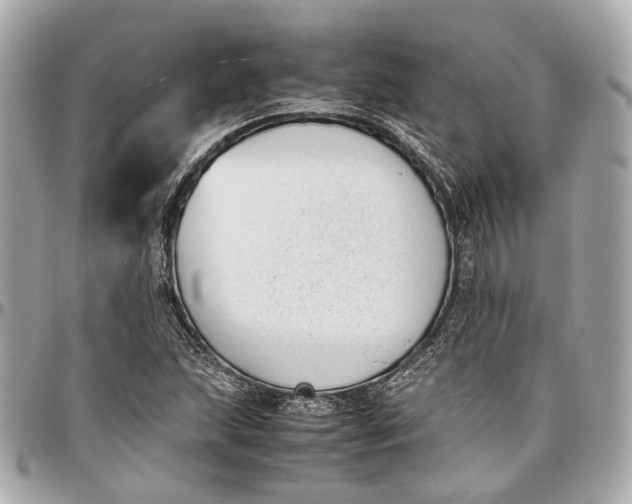 X0000097001215200802221513