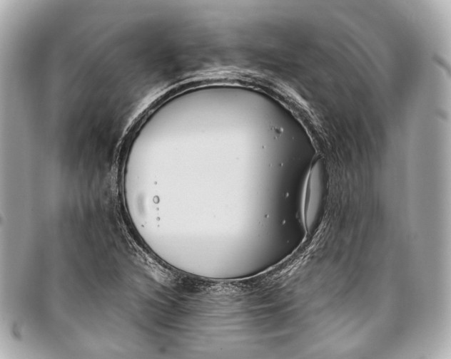 X0000097001216200802221513