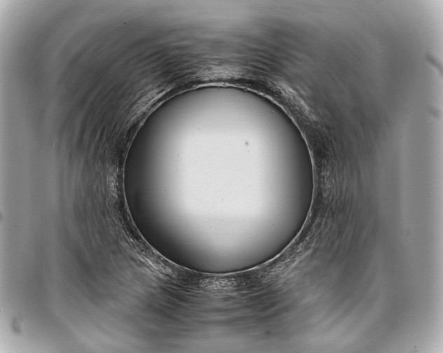 X0000097001217200802221513