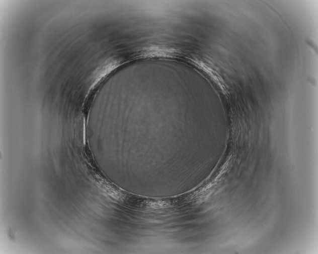 X0000097001219200802221513