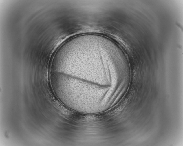 X0000097001220200802221513