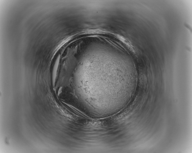 X0000097001221200802221513