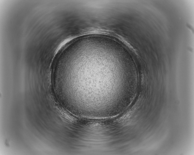 X0000097001222200802221513