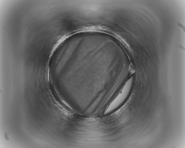 X0000097001224200802221513