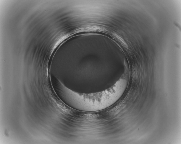 X0000097001226200802221513