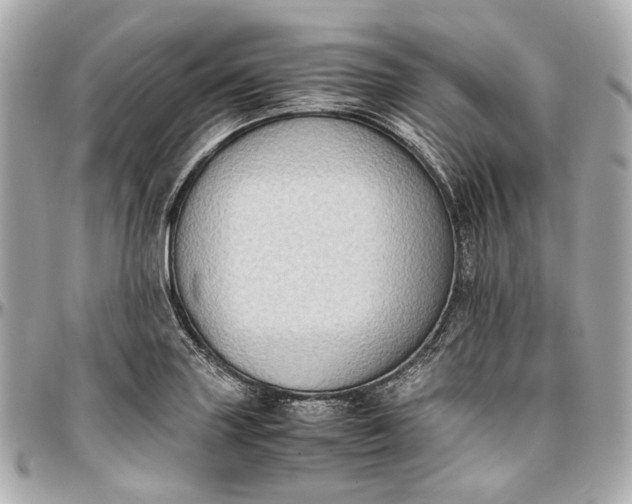 X0000097001227200802221514