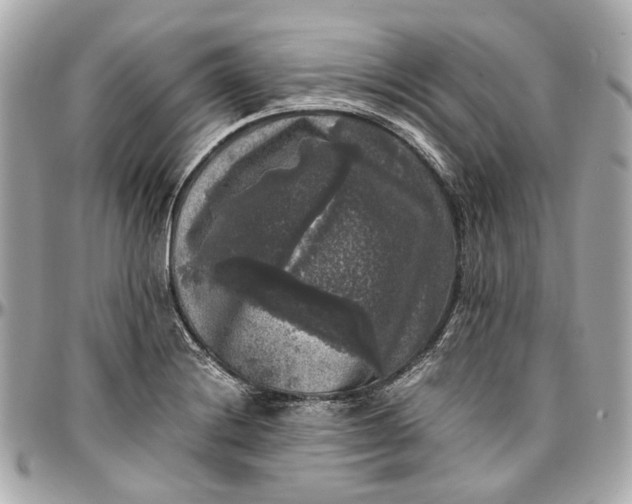 X0000097001228200802221514