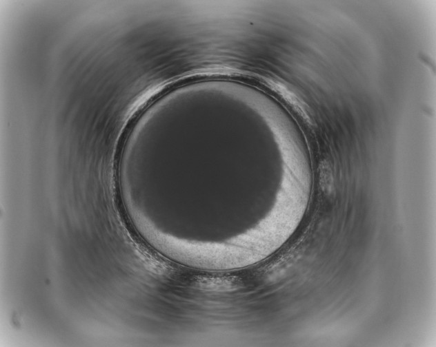 X0000097001229200802221514