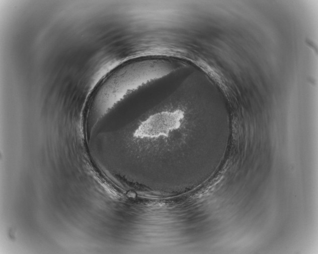 X0000097001230200802221514