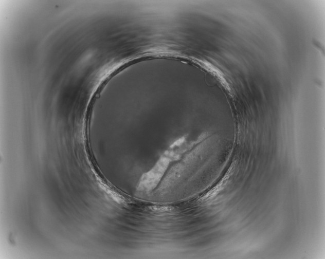 X0000097001231200802221514