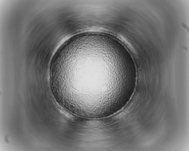 X0000097001232200802221514