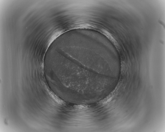 X0000097001234200802221514