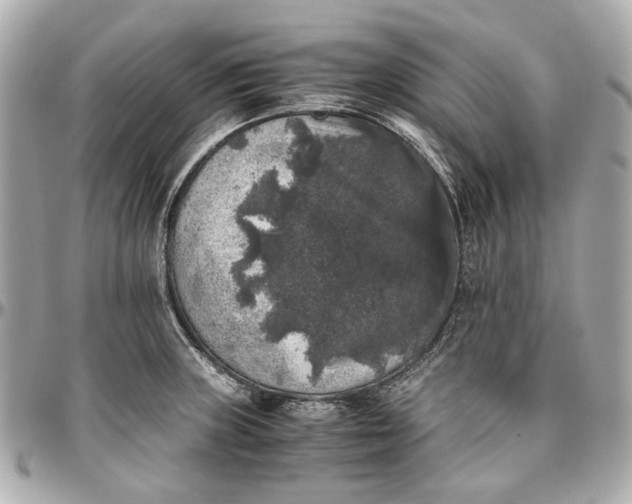 X0000097001235200802221514