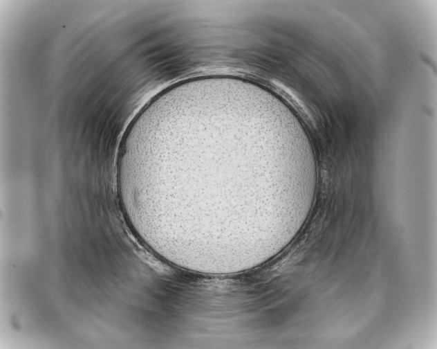 X0000097001236200802221514