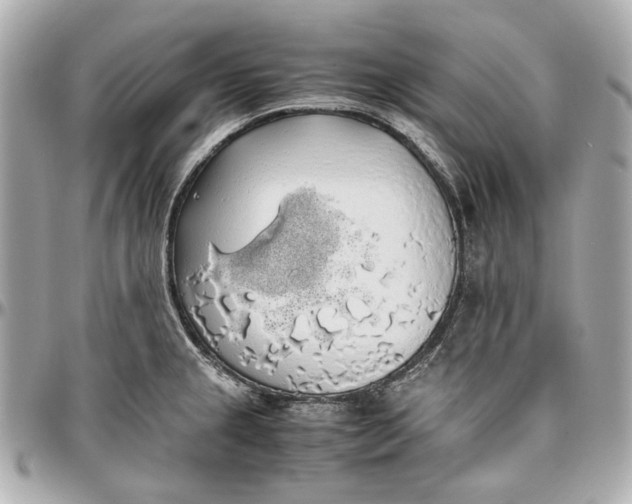 X0000097001237200802221514