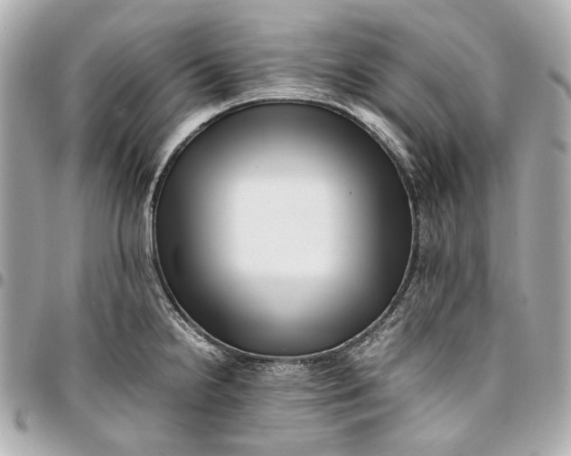 X0000097001238200802221514