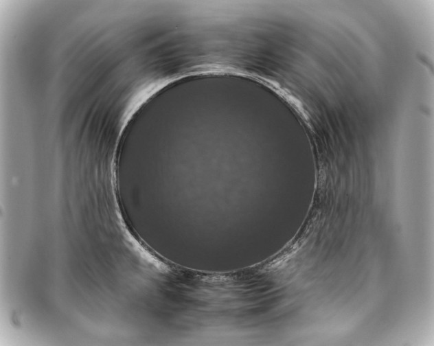 X0000097001239200802221514