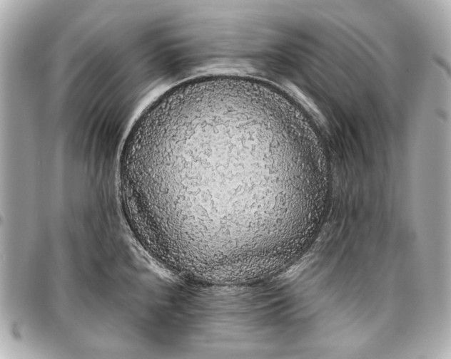 X0000097001240200802221514