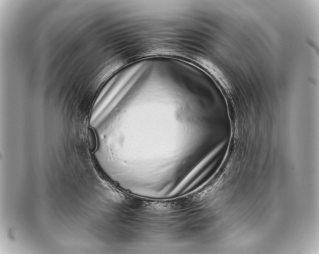 X0000097001241200802221514