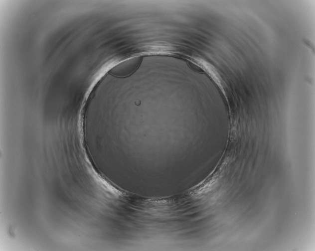 X0000097001243200802221514