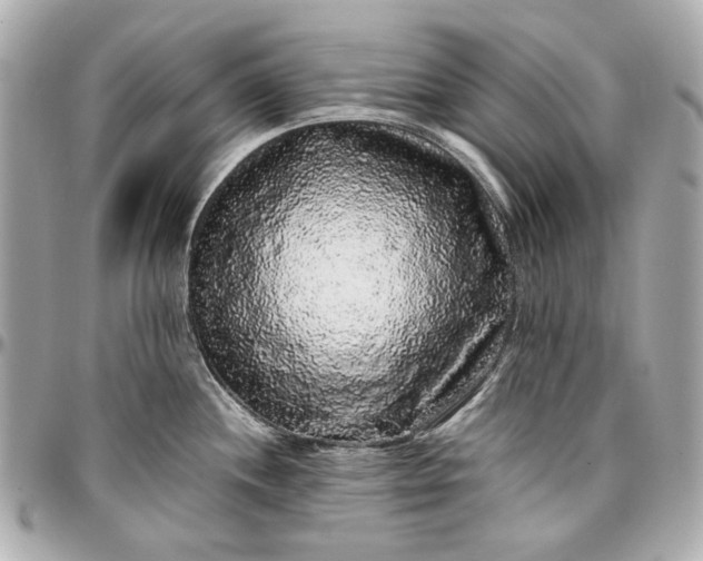 X0000097001244200802221514