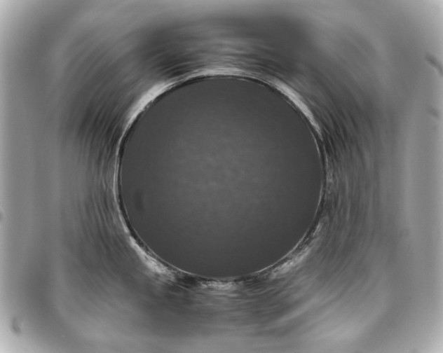 X0000097001245200802221514