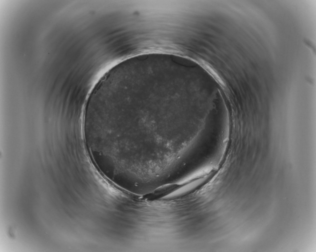 X0000097001246200802221514