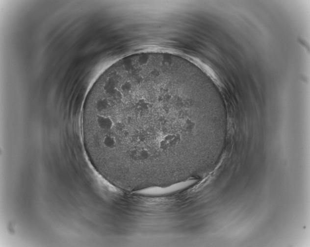 X0000097001247200802221514