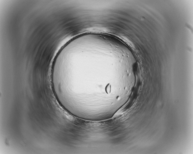 X0000097001248200802221514