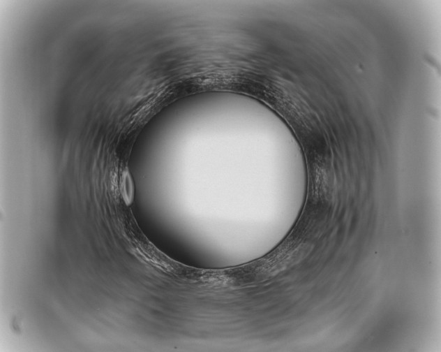 X0000097001250200802221513