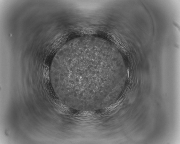 X0000097001251200802221513