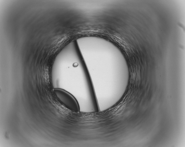 X0000097001252200802221513