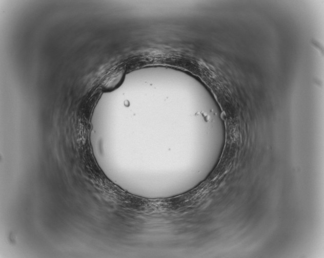 X0000097001253200802221513