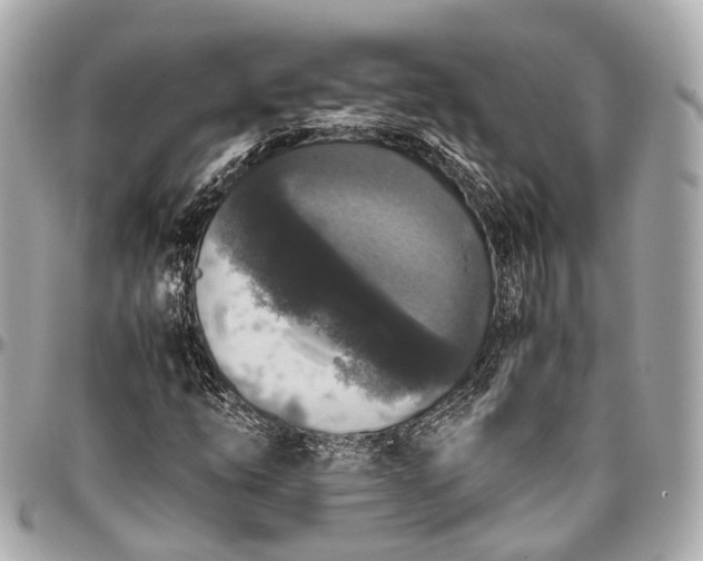 X0000097001254200802221513