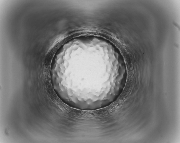 X0000097001255200802221513