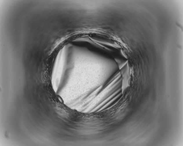 X0000097001256200802221513