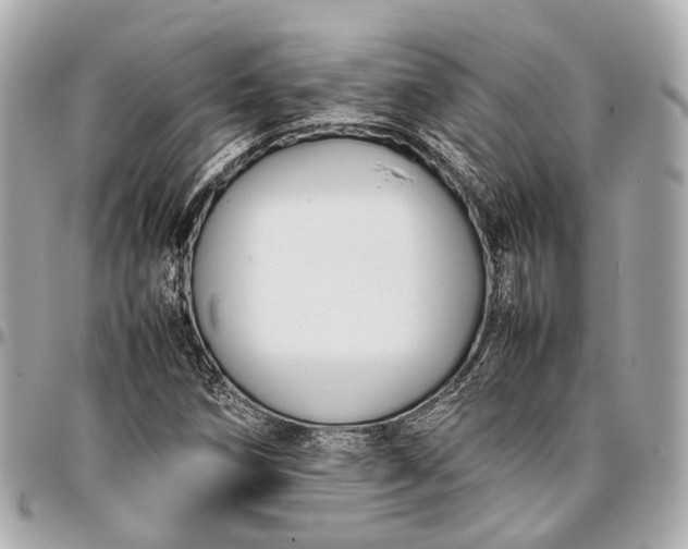 X0000097001258200802221513