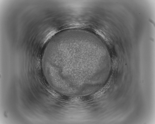 X0000097001259200802221513