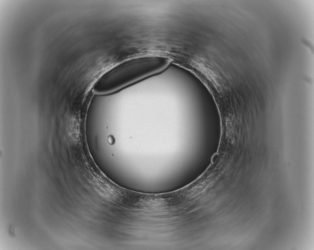 X0000097001260200802221513