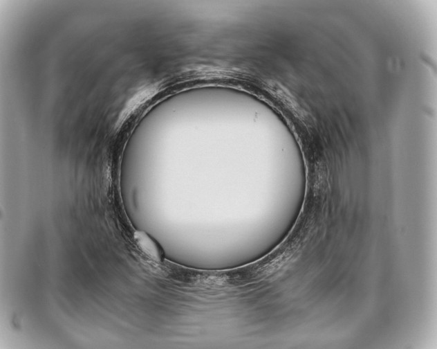 X0000097001261200802221513