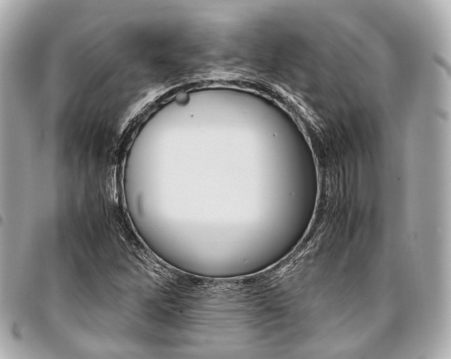 X0000097001262200802221513