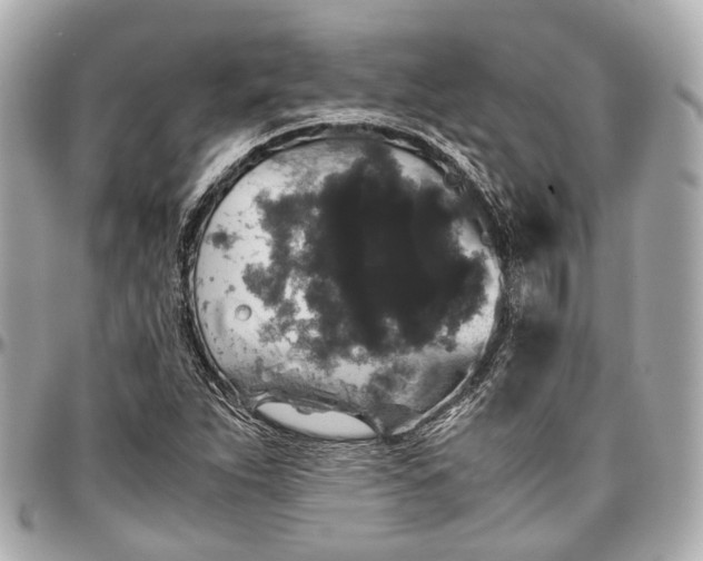 X0000097001263200802221513